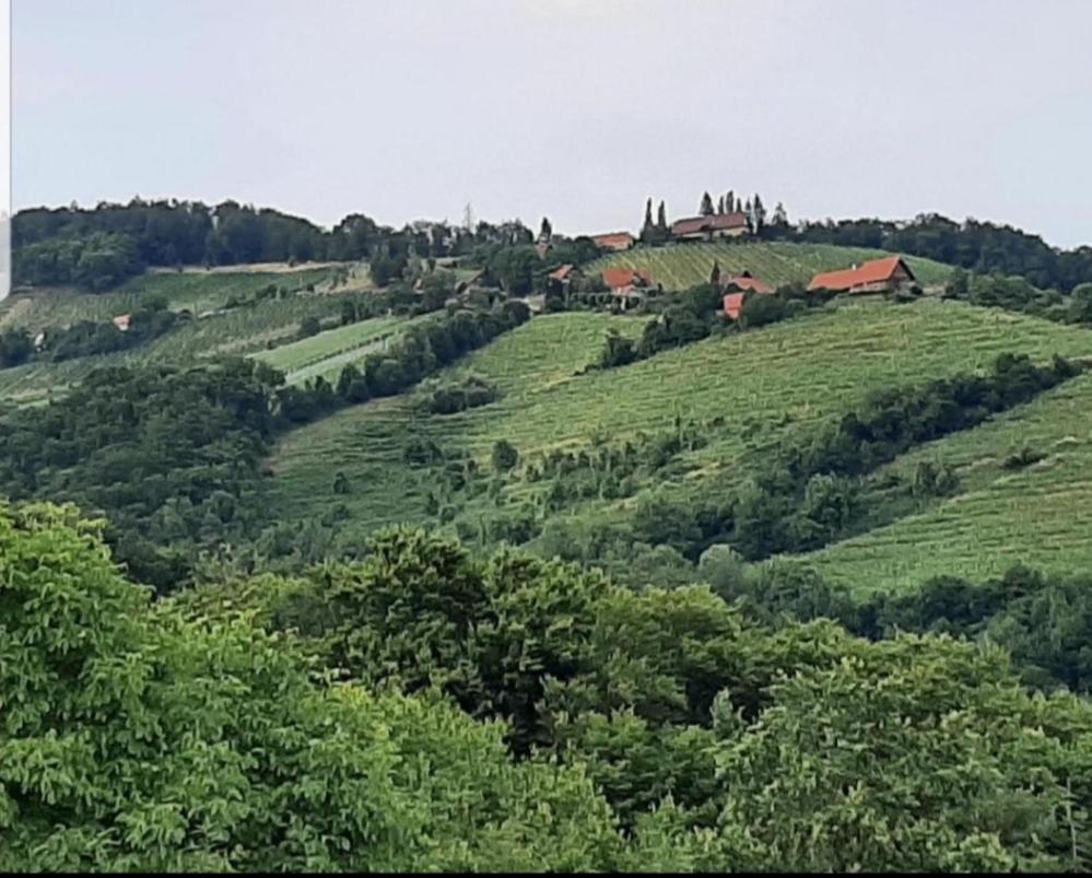 Obstbau Und Gaestezimmer Stani 绍萨尔地区基策克 外观 照片