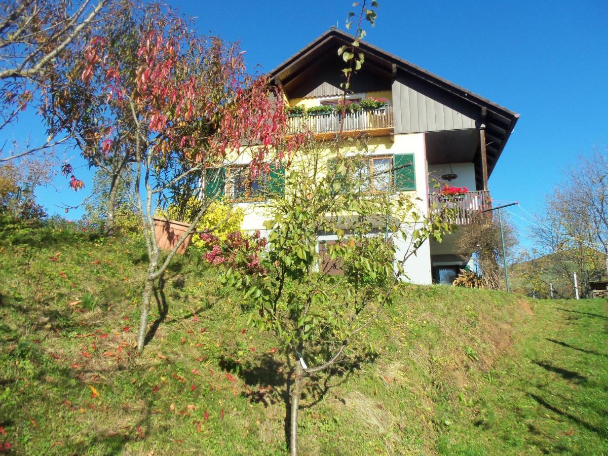 Obstbau Und Gaestezimmer Stani 绍萨尔地区基策克 外观 照片