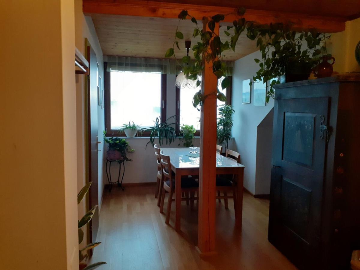 Obstbau Und Gaestezimmer Stani 绍萨尔地区基策克 外观 照片