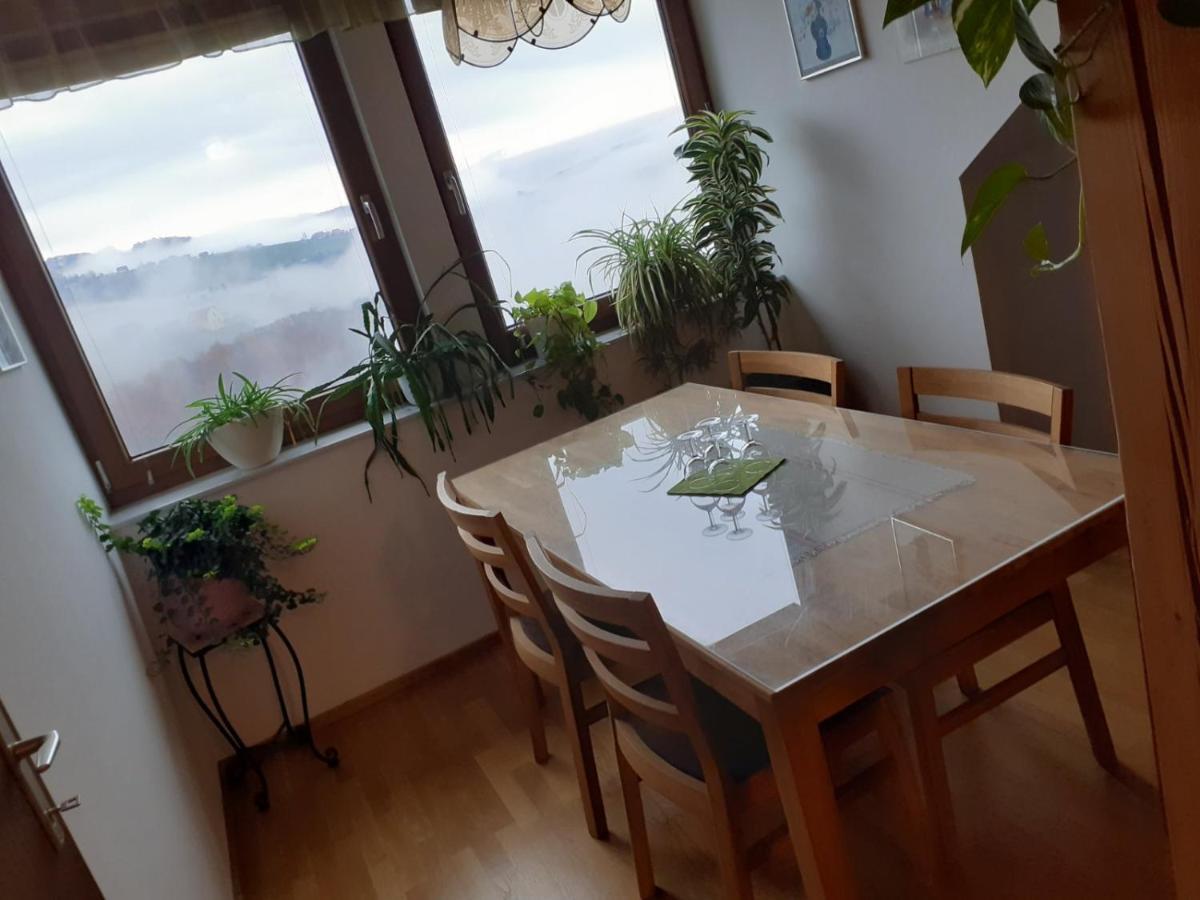Obstbau Und Gaestezimmer Stani 绍萨尔地区基策克 外观 照片